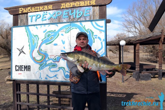 Трофейный судак 5,1 кг пойман на джиг в начале апреля 2018 на рыболовной базе "Трехречье" (Ахтуба)