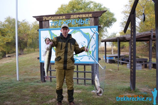 Рыбалка на судака в октябре 2019 - рыбацкая деревня "Трехречье" на Ахтубе