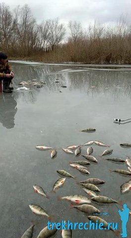 Рыбалка на Ахтубе в феврале 2020