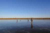 Первый лед на Ахтубе в ноябре - началась зимняя рыбалка