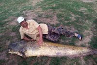 Трофейный сом в Трехречье. Рыбалка на Ахтубе в июле 2020