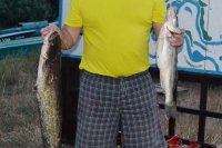 Судак и сом в июне. Рыбалка на Ахтубе летом на рыболовной базе \"Трехречье\"