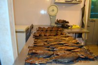 Закоптили сентябрьский улов - рыболовная база Трехречье (рыборазделка)