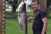 Крупный толстолобик пойман на Ахтубе в июне (рыболовная база \"Трехречье\")