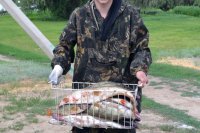 Отличный улов на троллинге и джиге - судак, окунь и щука в садке гостя рыболовной базы Трехречье (рыбалка на Ахтубе в июне)