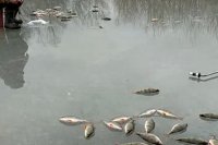 Рыбалка на Ахтубе в феврале 2020. Рыбацкая деревня \"Трехречье\"