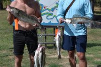 Отличная рыбалка на судака в Трехречье, начало сентября 2019