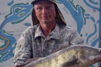 Отличный судак в Трехречье!. Рыбалка на судака на Ахтубе в июле 2019