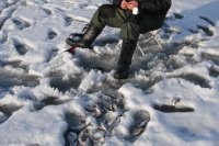 Рыбалка со льда в марте, Ахтуба
