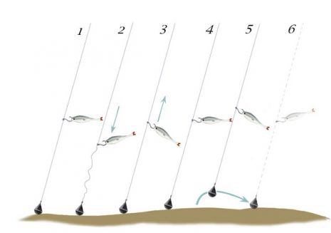 Техника проводки при ловле на дроп-шот