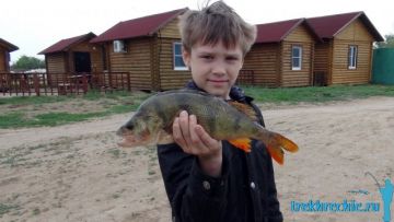 Ловля окуня на искуственные приманки в Трехречье (Ахтуба, Нижняя Волга)