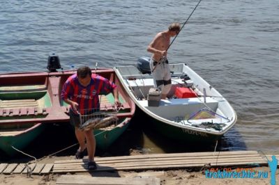Рыбалка в Трехречье на хищных рыб (рыболовная база "Трехречье")