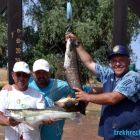 Понеслась - рыбалка на Ахтубе в Трехречье в июле 2015