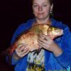 Осенний жирный лещ - достойный улов любого поклонника рыбалки на мирную рыбу в Трехречье.