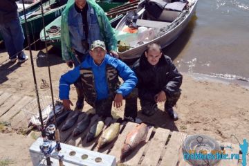 Рыбалка на сазана в Трехречье в сентябре (Нижняя Волга)