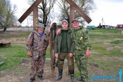 Ловля сома троллингом весной в Трехречье (рыболовная база на Ахтубе, Нижняя Волга)