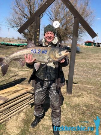 Трофейный толстолобик 30 10 кг пойман в начале сезона рыбалки 2019 на Ахтубе. Рыболовная база "Трехречье"