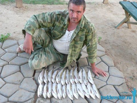 Рыбалка на чехонь в июне, Трехречье на Ахтубе, Харабали