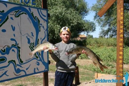 Щука и судак на джиг (Нижняя Волга, рыбалка на базе Трехречье)