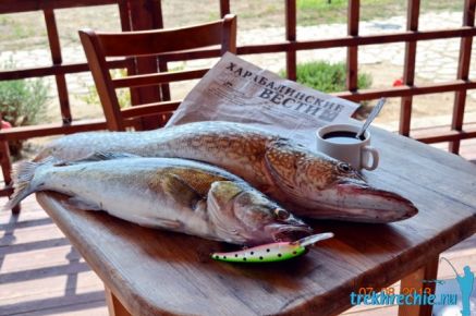 Как приготовить рыбу прямо на рыбалке на Ахтубе